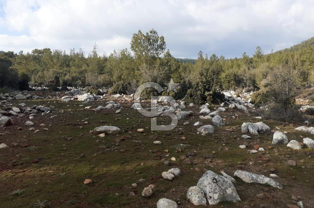 Yatağan Bencik Yeni’de 9.682m² Satılık Tarla