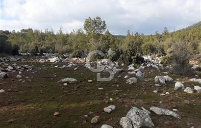 Yatağan Bencik Yeni’de 9.682m² Satılık Tarla