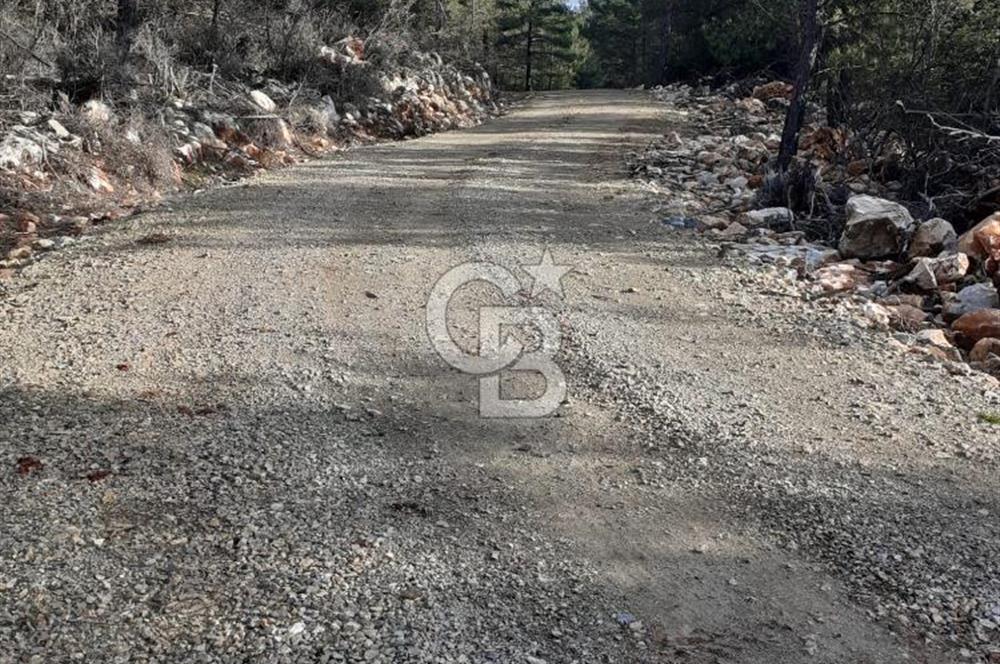 Yatağan Bencik Yeni’de 9.682m² Satılık Tarla