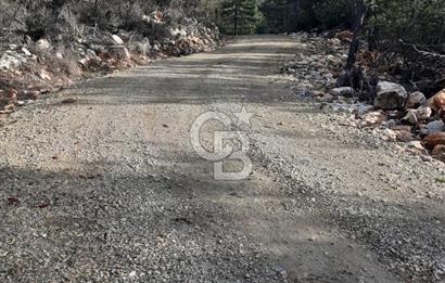 Yatağan Bencik Yeni’de 9.682m² Satılık Tarla