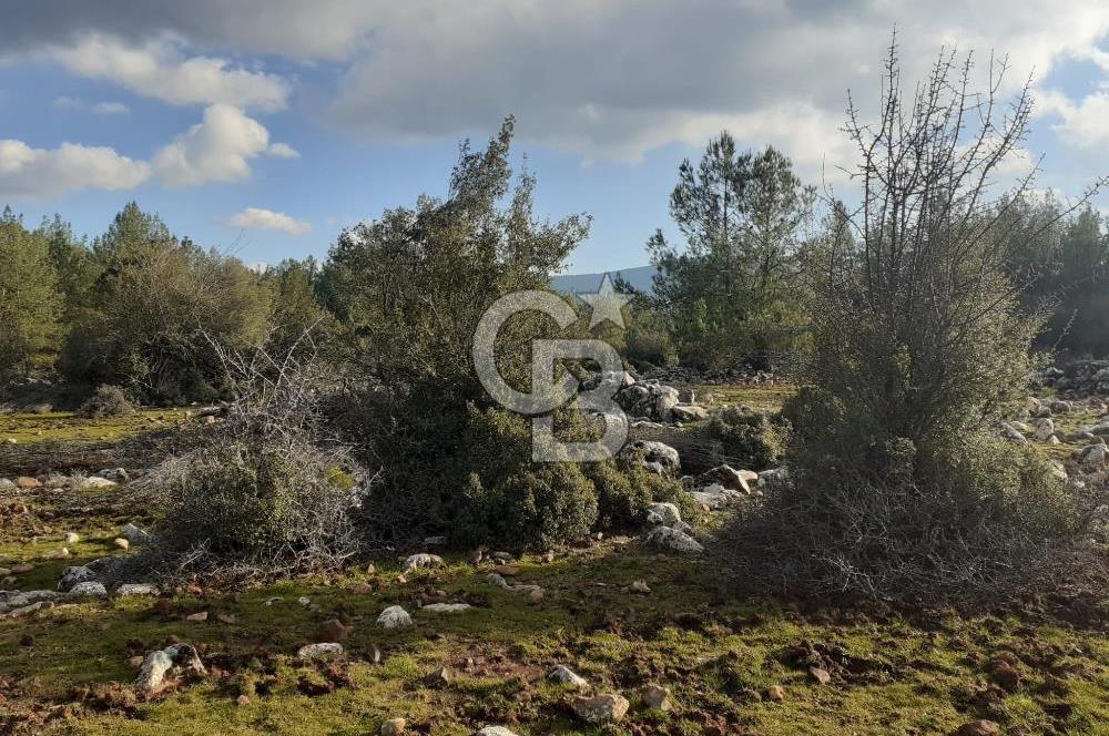 Yatağan Bencik Yeni’de 9.682m² Satılık Tarla