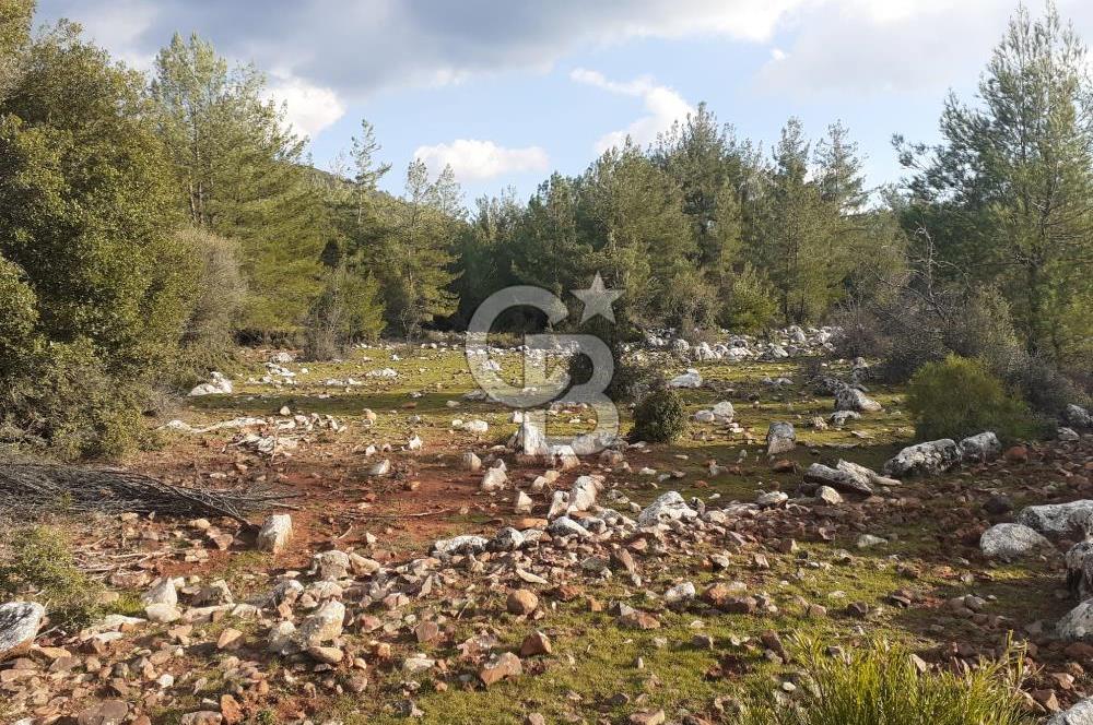 Yatağan Bencik Yeni’de 9.682m² Satılık Tarla