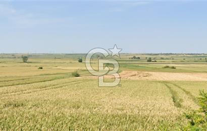 KIRKLARELİ VİZE OKÇULAR KÖYÜNDE YERİ BELLİ 633 m² SATILIK TARLA