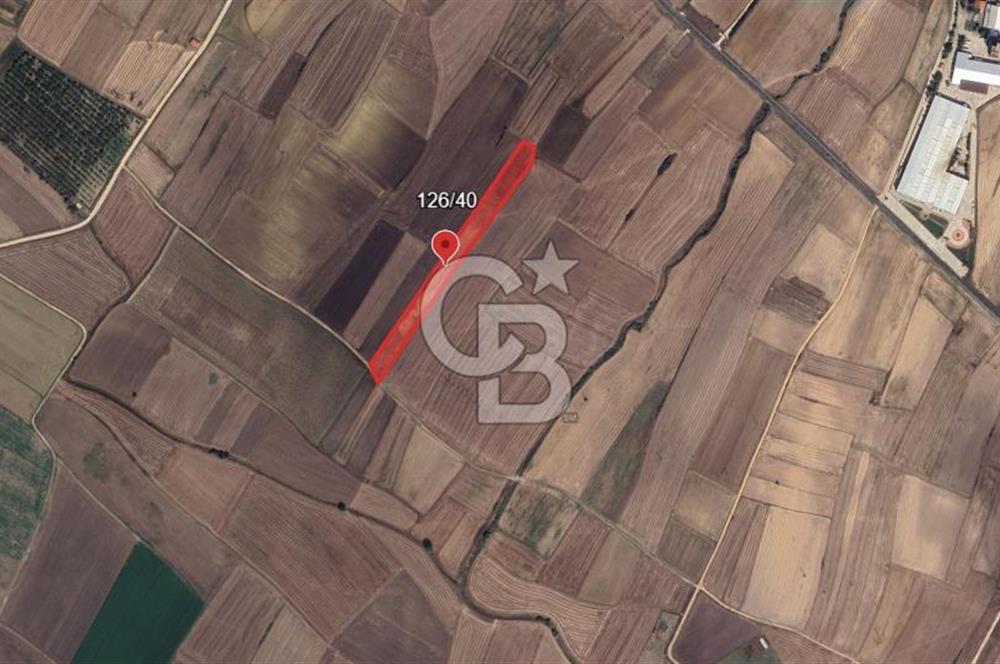 KIRKLARELİ VİZE OKÇULAR KÖYÜNDE YERİ BELLİ 633 m² SATILIK TARLA