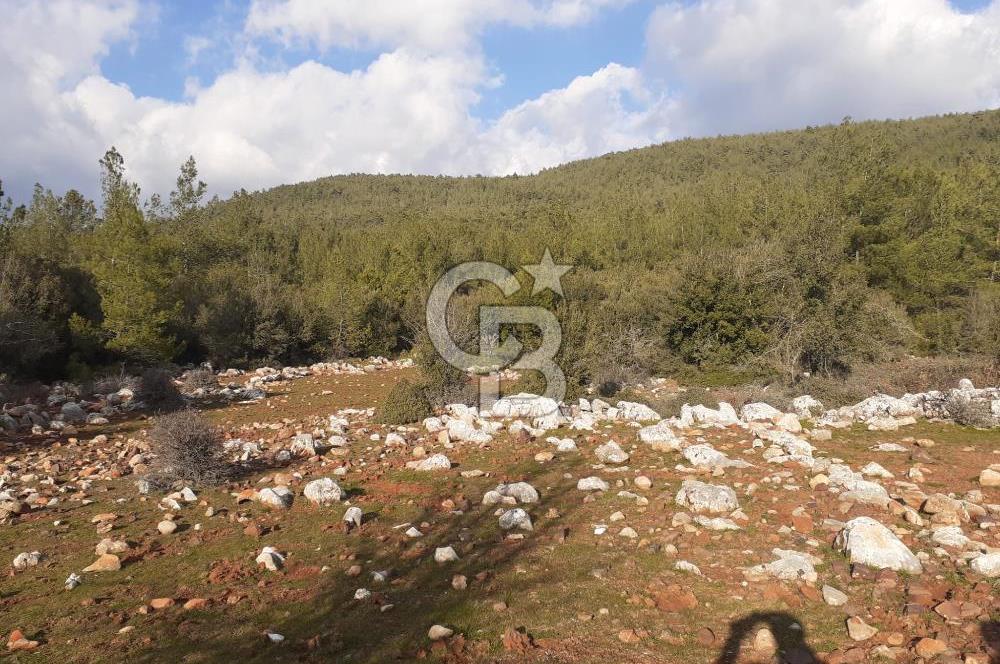 Yatağan Bencik Yeni’de 9.682m² Satılık Tarla