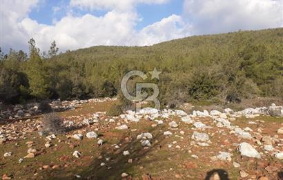 Yatağan Bencik Yeni’de 9.682m² Satılık Tarla