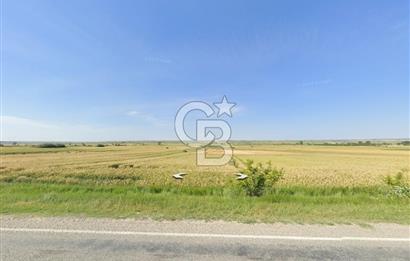 KIRKLARELİ VİZE OKÇULAR KÖYÜNDE YERİ BELLİ 633 m² SATILIK TARLA