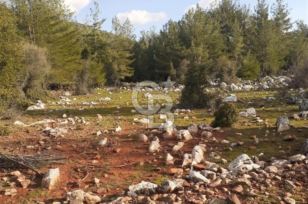 Yatağan Bencik Yeni’de 9.682m² Satılık Tarla