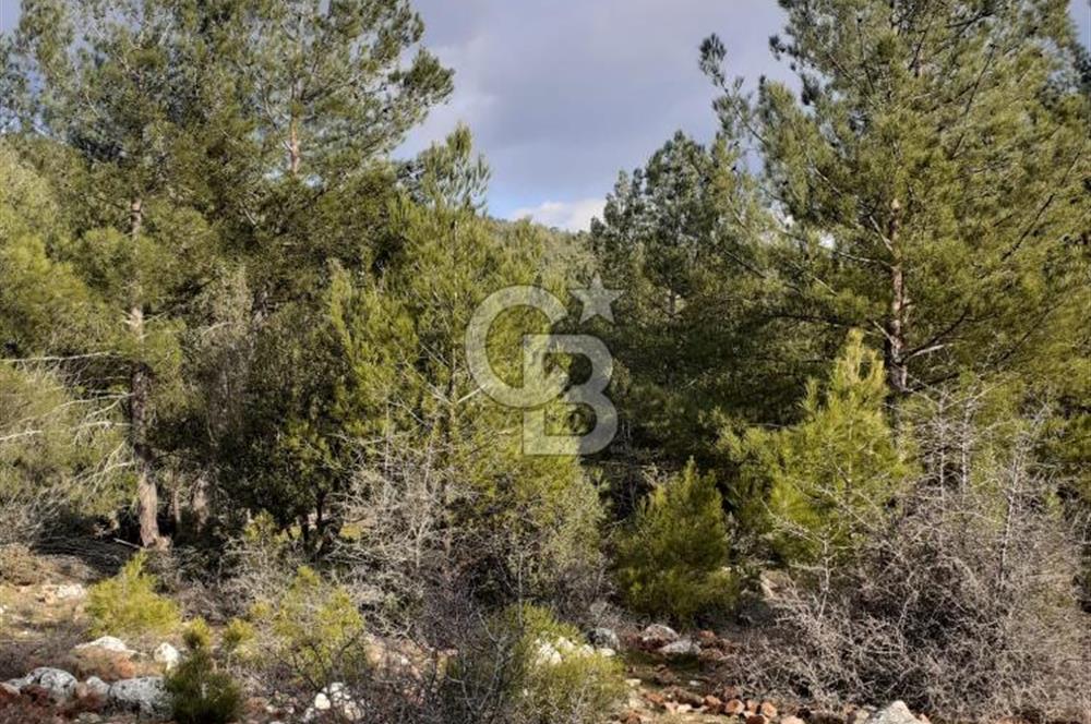 Yatağan Bencik Yeni’de 9.682m² Satılık Tarla