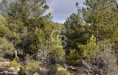 Yatağan Bencik Yeni’de 9.682m² Satılık Tarla