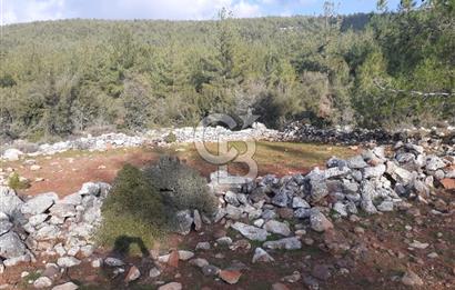 Yatağan Bencik Yeni’de 9.682m² Satılık Tarla