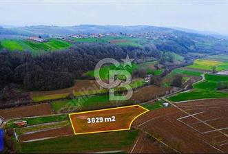 KAYRANCIKTA YOLA 90MT CEPHELİ ULAŞIM SORUNU OLMAYAN 3828 M2TARLA - 1 - 341064