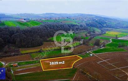 KAYRANCIKTA YOLA 90MT CEPHELİ ULAŞIM SORUNU OLMAYAN 3828 M2TARLA