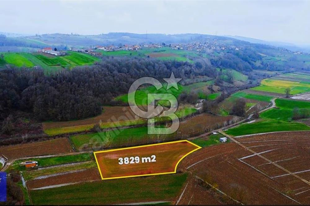 KAYRANCIKTA YOLA 90MT CEPHELİ ULAŞIM SORUNU OLMAYAN 3828 M2TARLA