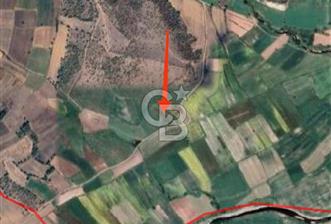 İvrindi Osmanlar'da Yola Cepheli Satılık Tarla  - 1 - 340999