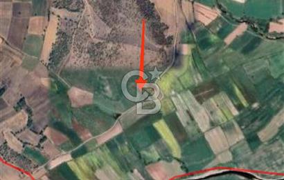 İvrindi Osmanlar'da Yola Cepheli Satılık Tarla 