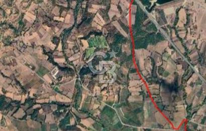İvrindi Osmanlar'da Yola Cepheli Satılık Tarla 