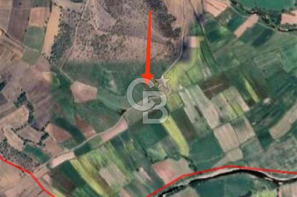 İvrindi Osmanlar'da Yola Cepheli Satılık Tarla 