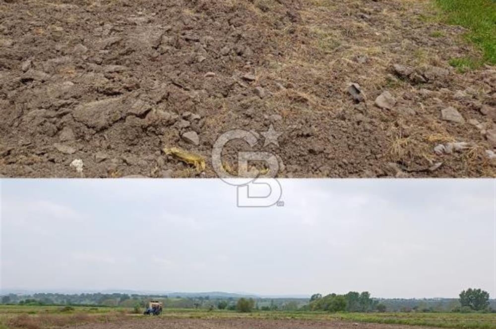 İvrindi Osmanlar'da Yola Cepheli Satılık Tarla 