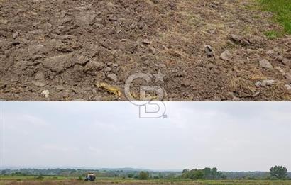 İvrindi Osmanlar'da Yola Cepheli Satılık Tarla 