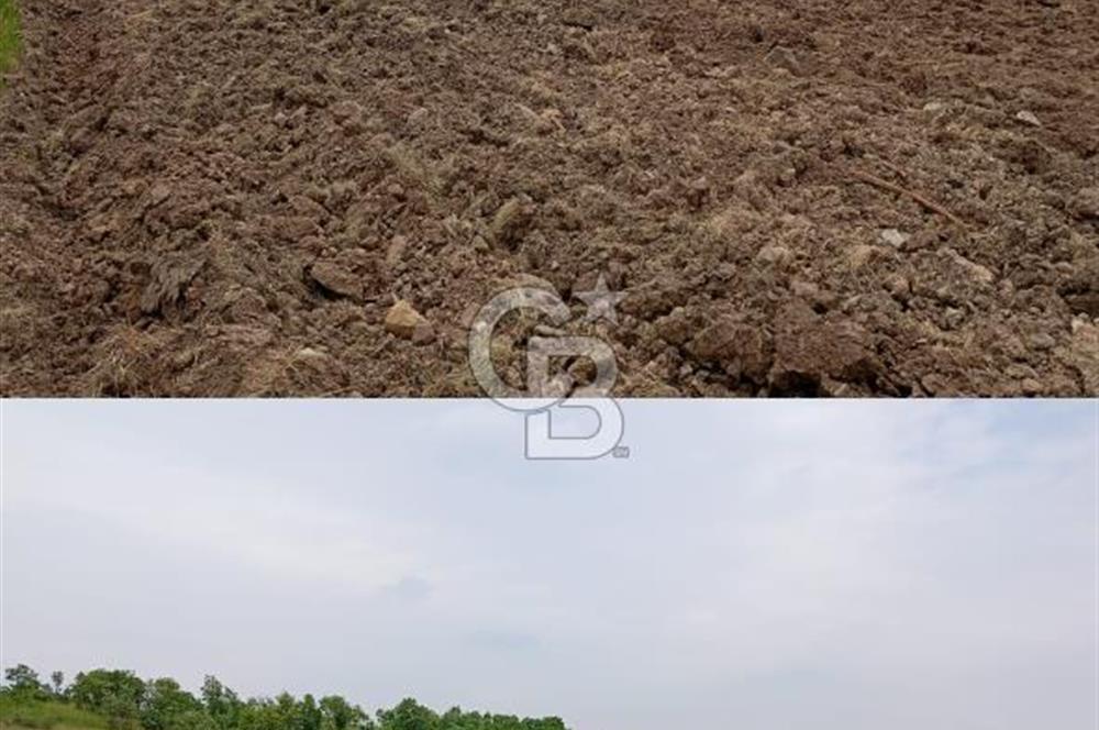 İvrindi Osmanlar'da Yola Cepheli Satılık Tarla 