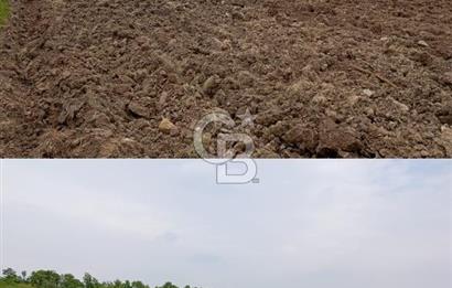 İvrindi Osmanlar'da Yola Cepheli Satılık Tarla 