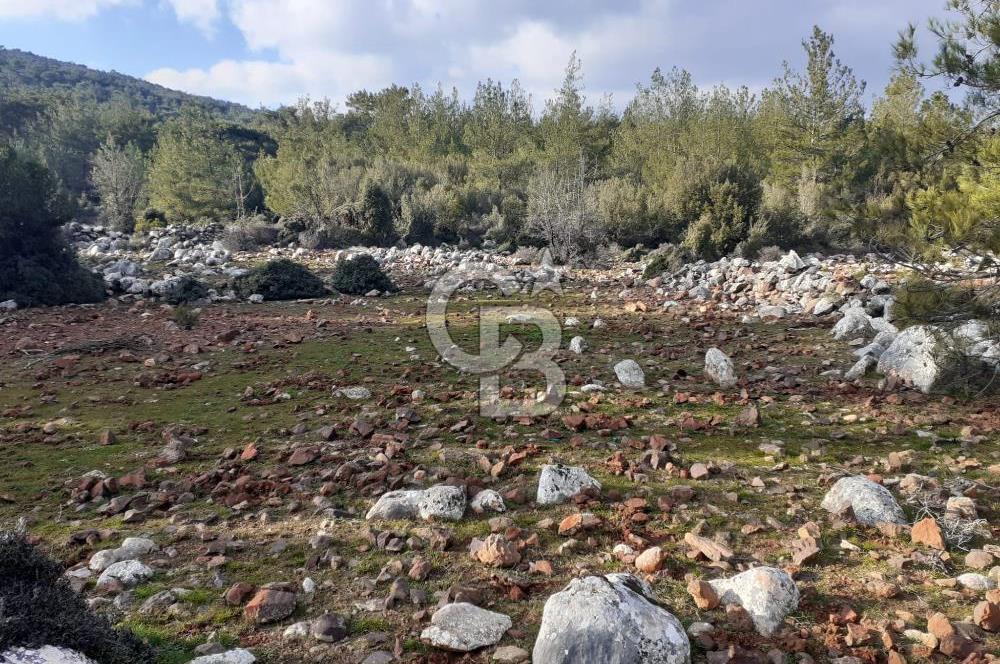 Yatağan Bencik Yeni’de 9.682m² Satılık Tarla