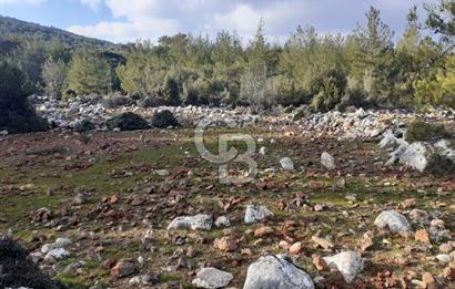 Yatağan Bencik Yeni’de 9.682m² Satılık Tarla