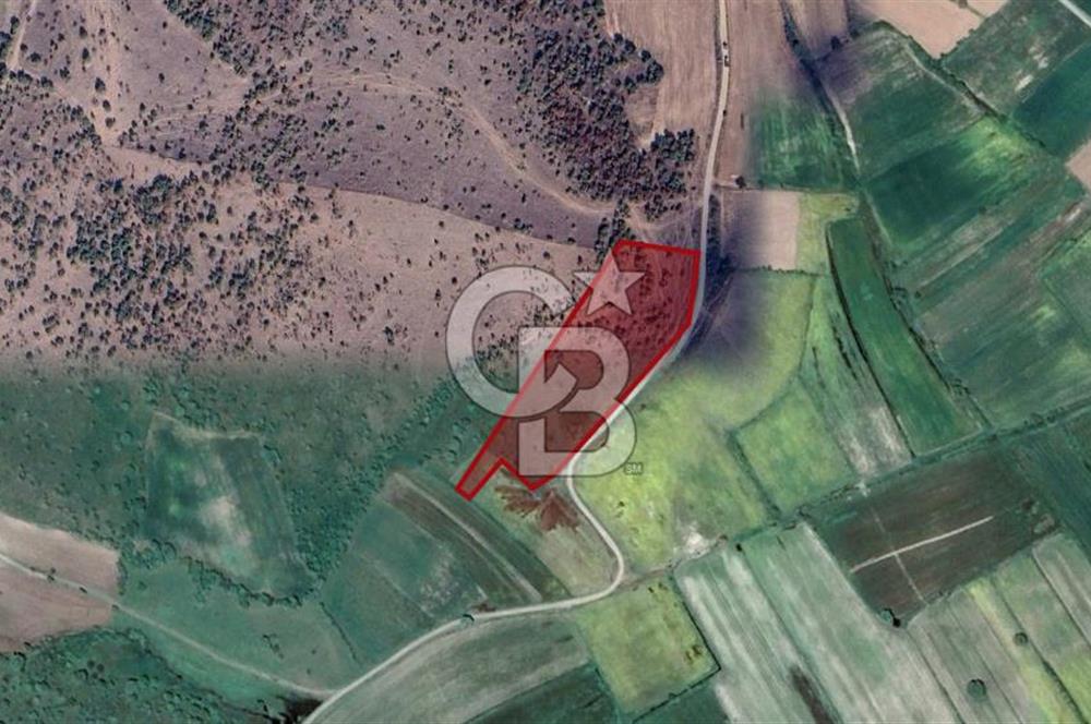 İvrindi Osmanlar'da Yola Cepheli Satılık Tarla 