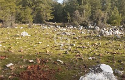 Yatağan Bencik Yeni’de 9.682m² Satılık Tarla