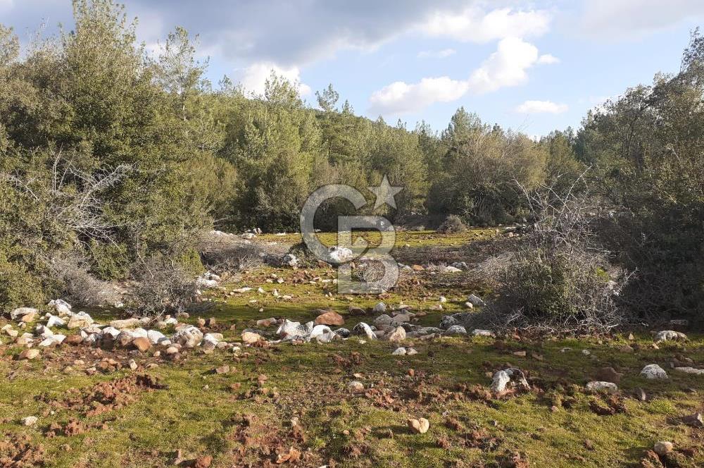 Yatağan Bencik Yeni’de 9.682m² Satılık Tarla