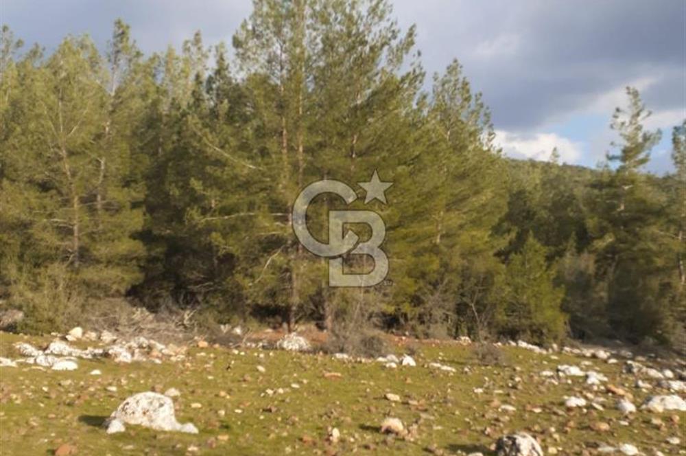 Yatağan Bencik Yeni’de 9.682m² Satılık Tarla