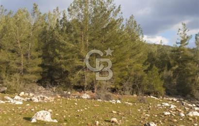 Yatağan Bencik Yeni’de 9.682m² Satılık Tarla