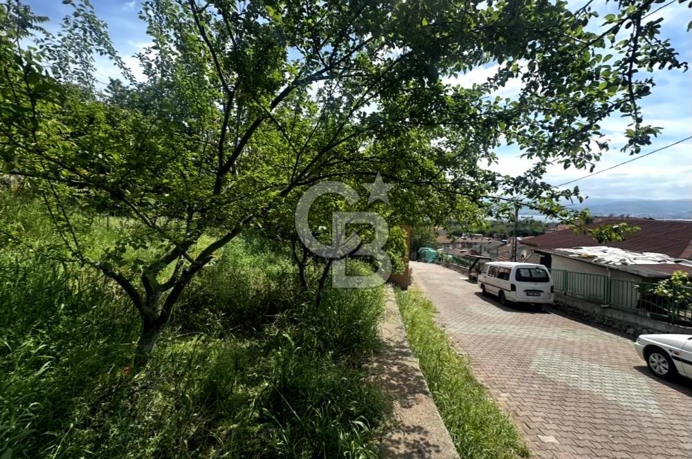 CB ATLAS'TAN YENİDOĞAN'DA DENİZ MANZARALI ARSA