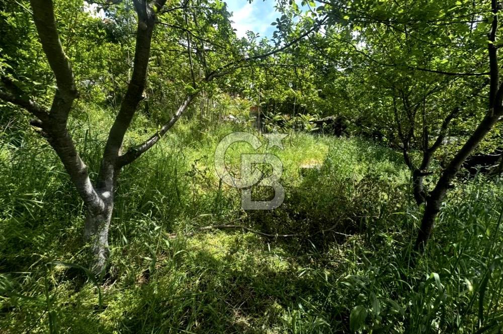 CB ATLAS'TAN YENİDOĞAN'DA DENİZ MANZARALI ARSA