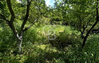 CB ATLAS'TAN YENİDOĞAN'DA DENİZ MANZARALI ARSA