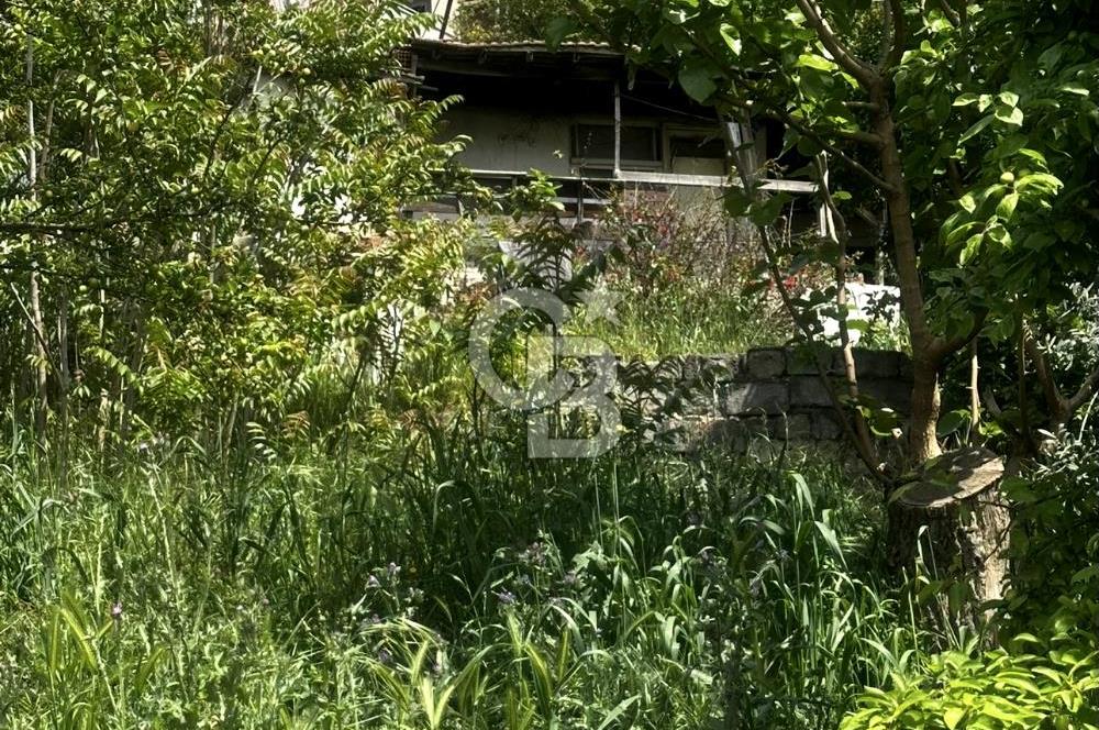 CB ATLAS'TAN YENİDOĞAN'DA DENİZ MANZARALI ARSA