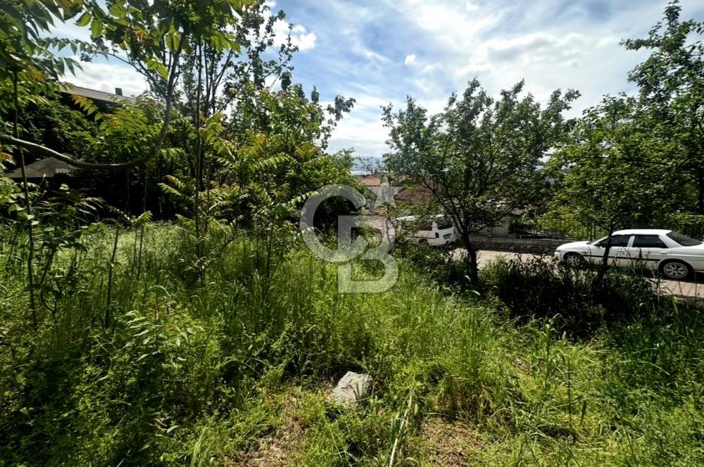 CB ATLAS'TAN YENİDOĞAN'DA DENİZ MANZARALI ARSA