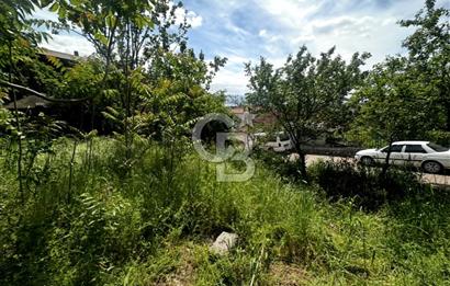 CB ATLAS'TAN YENİDOĞAN'DA DENİZ MANZARALI ARSA