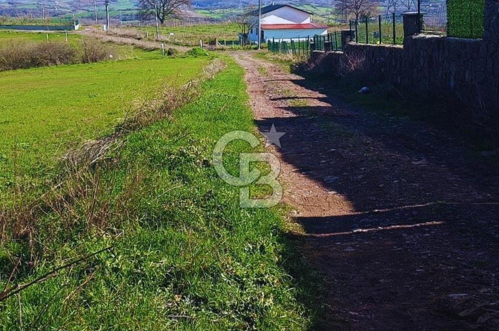 YALOVA ÇİFTLİKKÖYDE ANAYOLA CEPHE 10.521 M² YATIRIMLIK ARSA