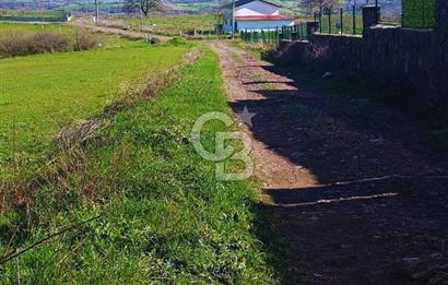 YALOVA ÇİFTLİKKÖYDE ANAYOLA CEPHE 10.521 M² YATIRIMLIK ARSA