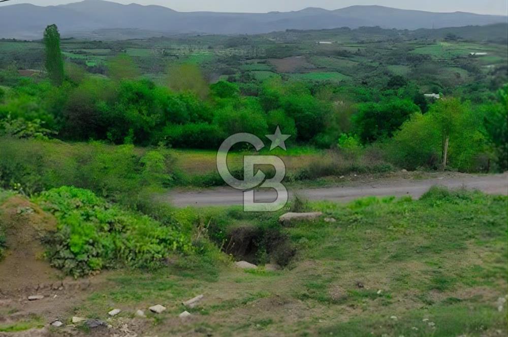 YALOVA ÇİFTLİKKÖYDE ANAYOLA CEPHE 10.521 M² YATIRIMLIK ARSA