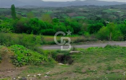 YALOVA ÇİFTLİKKÖYDE ANAYOLA CEPHE 10.521 M² YATIRIMLIK ARSA