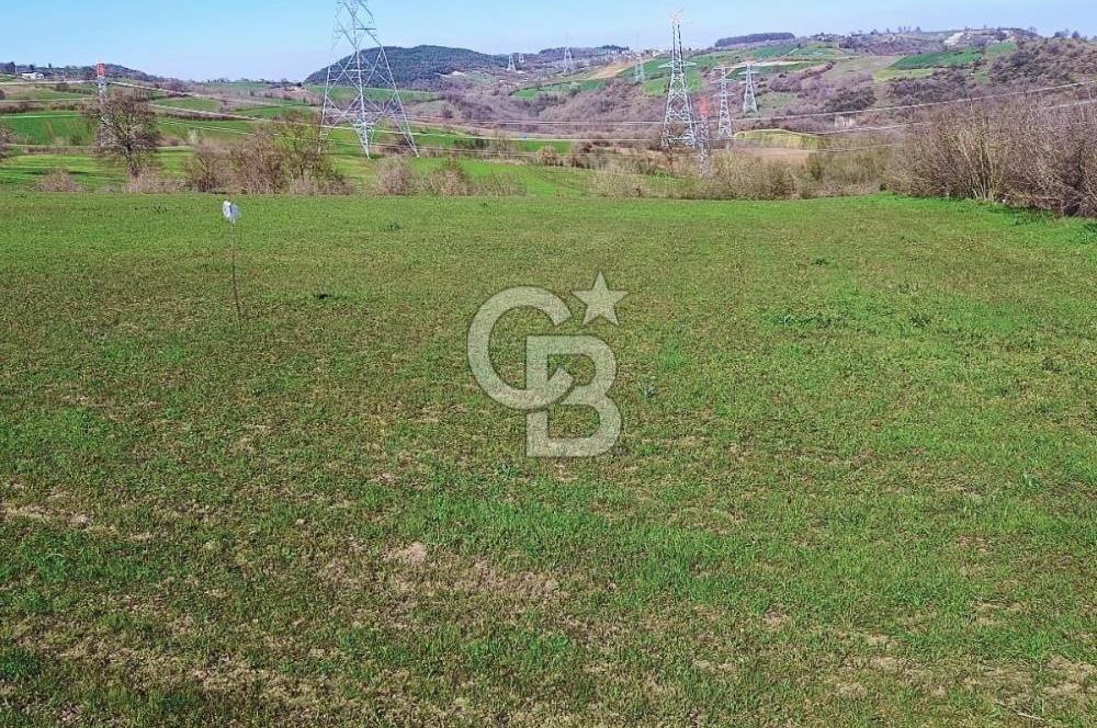 YALOVA ÇİFTLİKKÖYDE ANAYOLA CEPHE 10.521 M² YATIRIMLIK ARSA