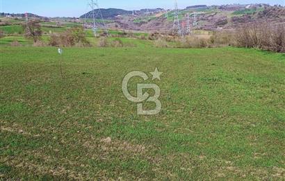 YALOVA ÇİFTLİKKÖYDE ANAYOLA CEPHE 10.521 M² YATIRIMLIK ARSA