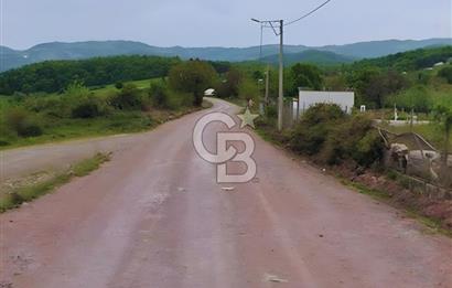 YALOVA ÇİFTLİKKÖYDE ANAYOLA CEPHE 10.521 M² YATIRIMLIK ARSA