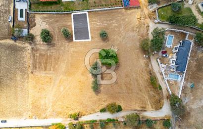 Foça Kozbeyli'de Satılık Tarla