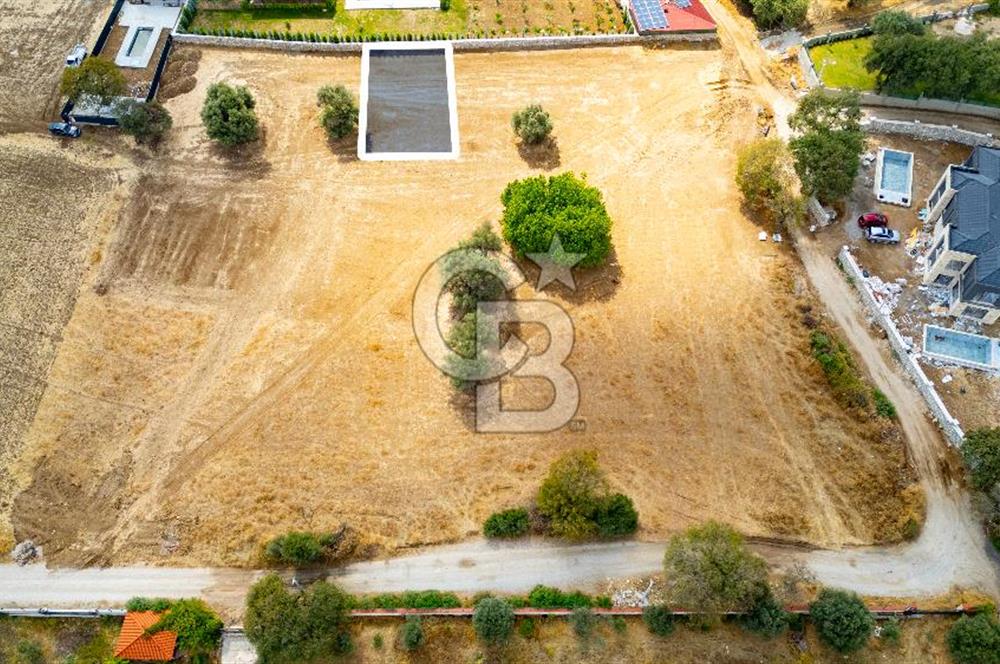 Foça Kozbeyli'de Satılık Tarla