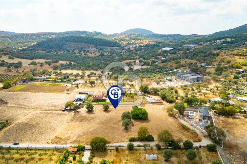 Foça Kozbeyli'de Satılık Tarla