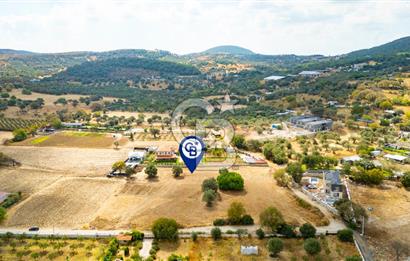 Foça Kozbeyli'de Satılık Tarla